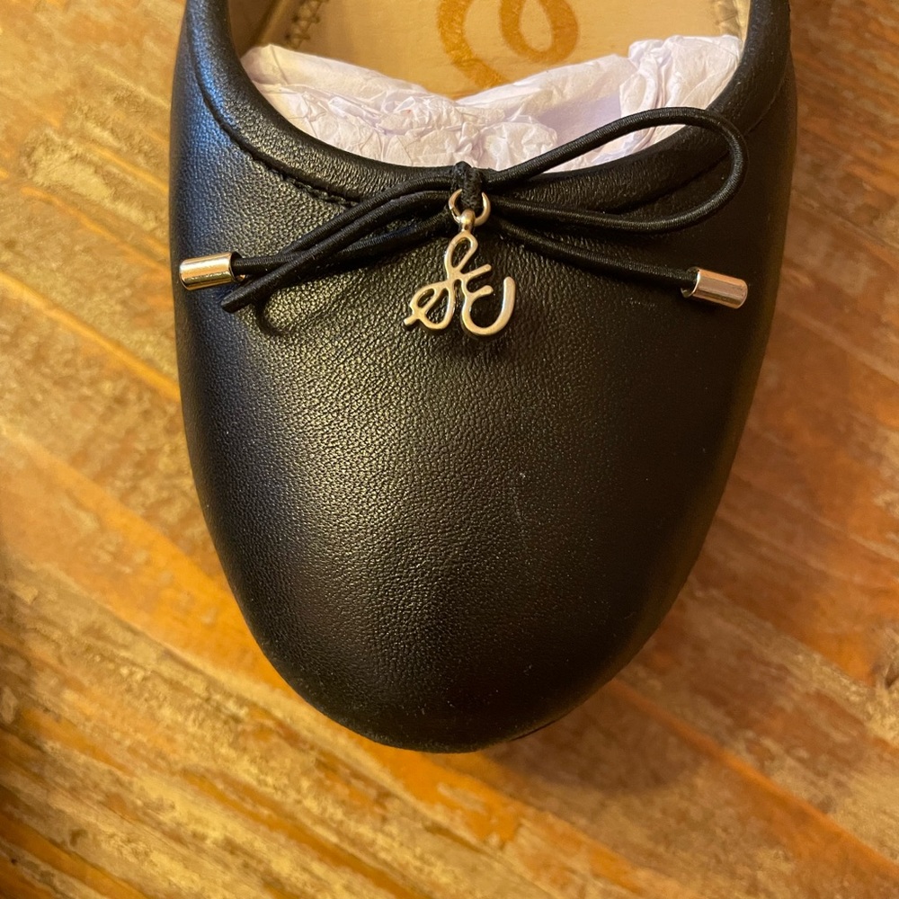 Sam Edelman Felicia Flat - Picture 6 of 10